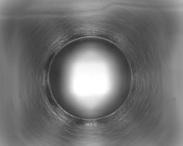 X0000054360744200508051528