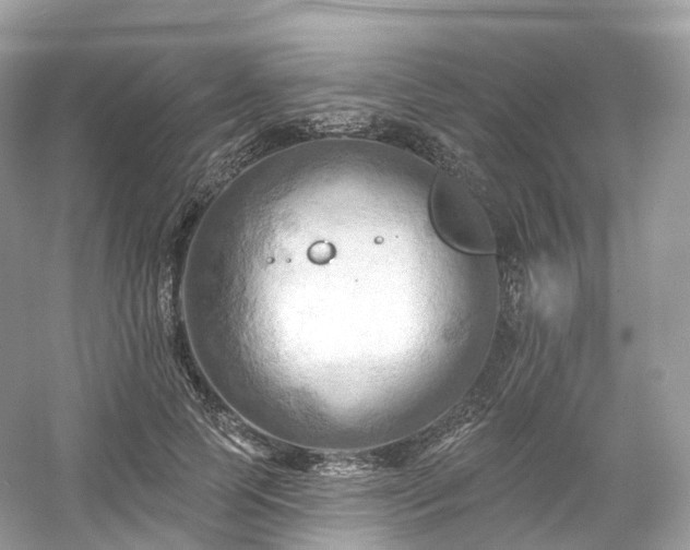 X0000054360745200508051528