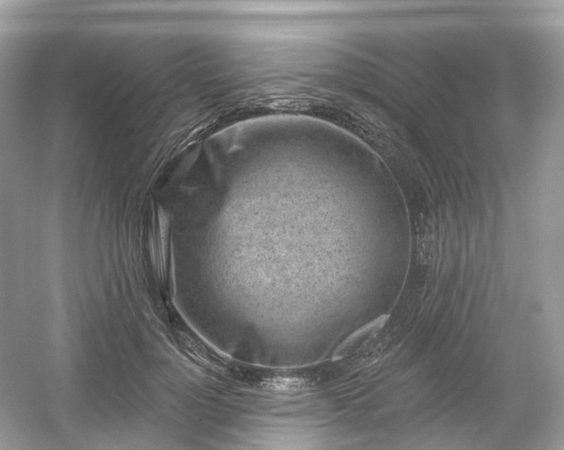 X0000054360748200508051529