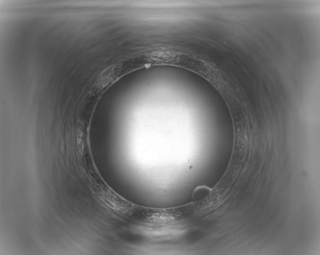 X0000054360749200508051529