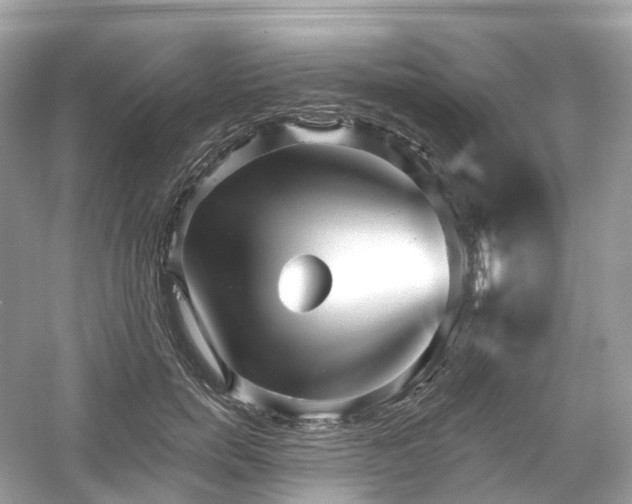 X0000054360750200508051529