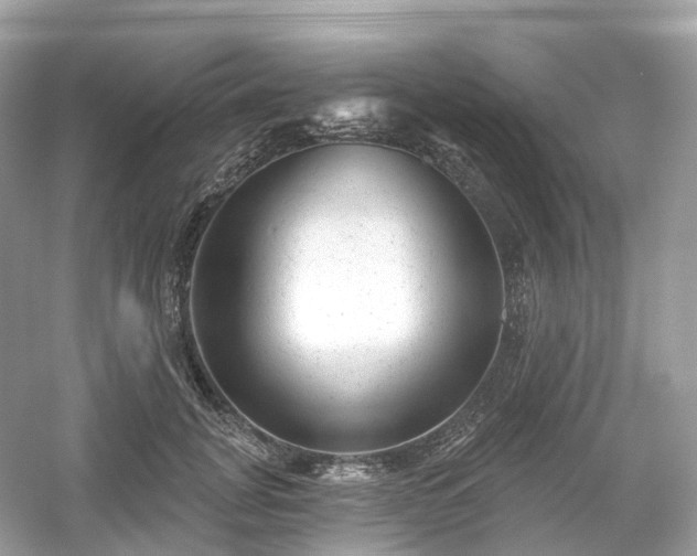 X0000054360751200508051529