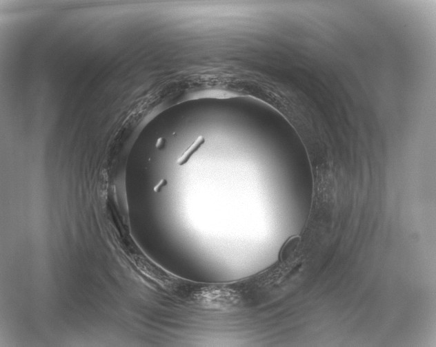 X0000054360752200508051529