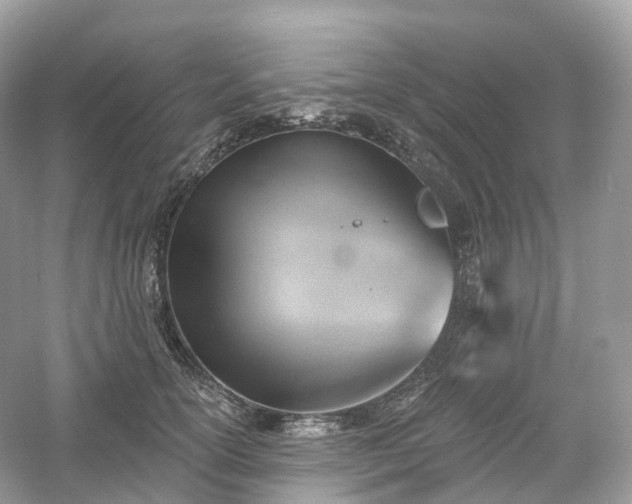 X0000054360754200508051529