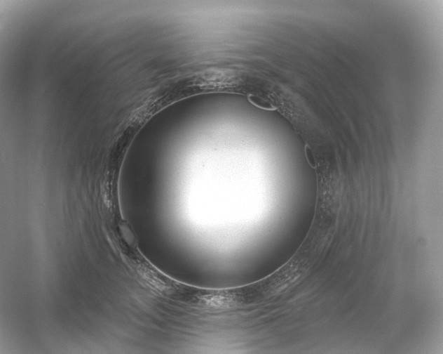X0000054360755200508051529