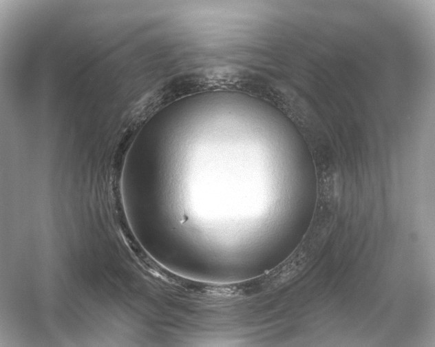 X0000054360757200508051529