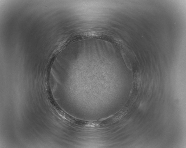 X0000054360760200508051529