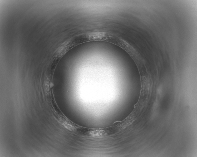 X0000054360761200508051529