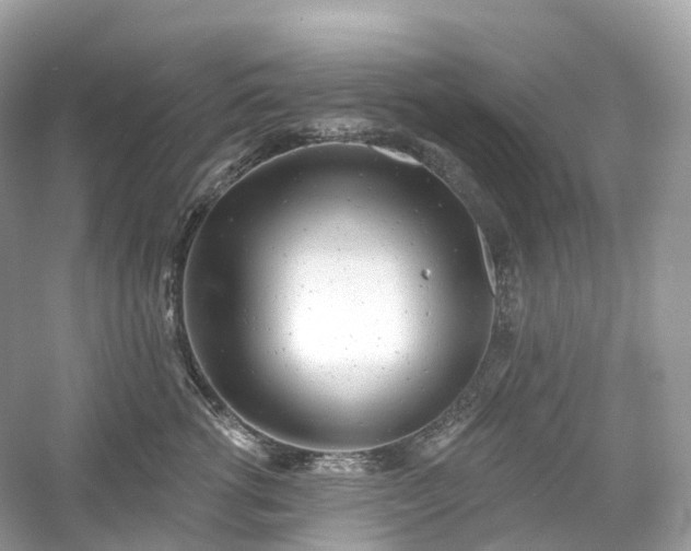 X0000054360762200508051529