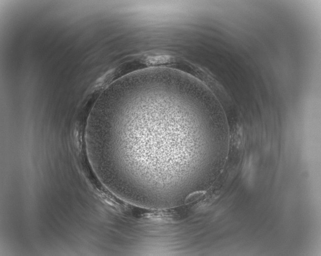 X0000054360763200508051529