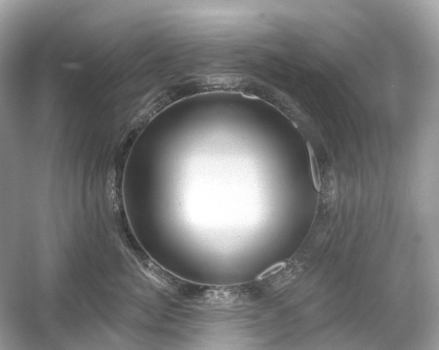 X0000054360764200508051529