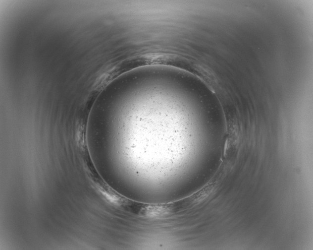 X0000054360766200508051529