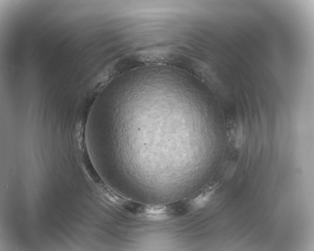 X0000054360767200508051529