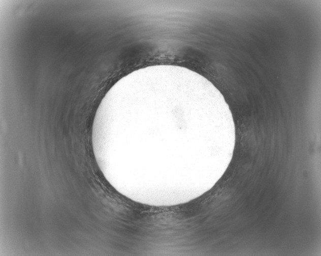 X0000054360769200508051528