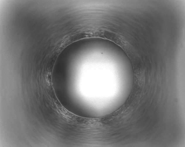 X0000054360770200508051528