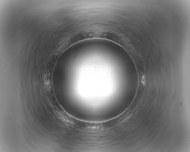 X0000054360771200508051528