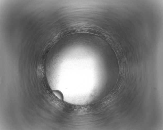 X0000054360772200508051528