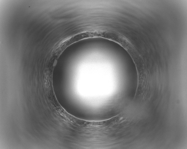 X0000054360773200508051528