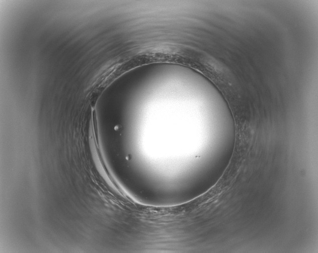 X0000054360774200508051528