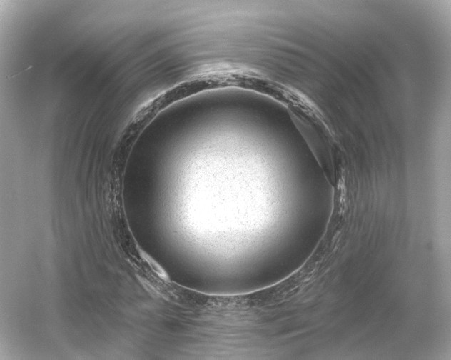 X0000054360775200508051528