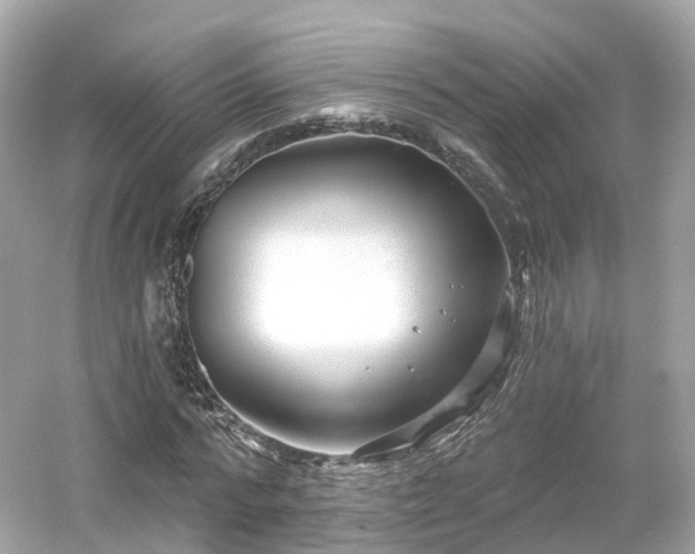 X0000054360776200508051528