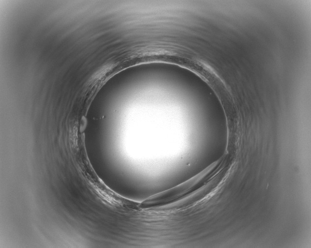 X0000054360777200508051528