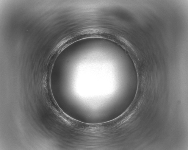 X0000054360778200508051528