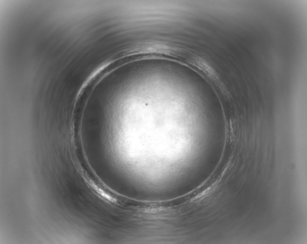 X0000054360780200508051528
