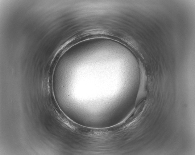 X0000054360782200508051528