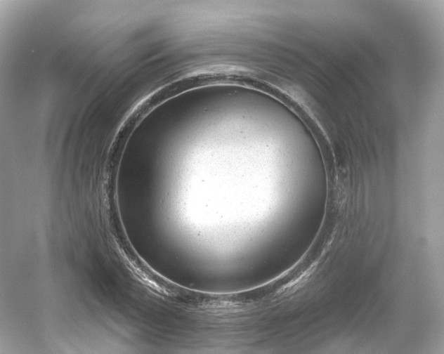X0000054360783200508051528