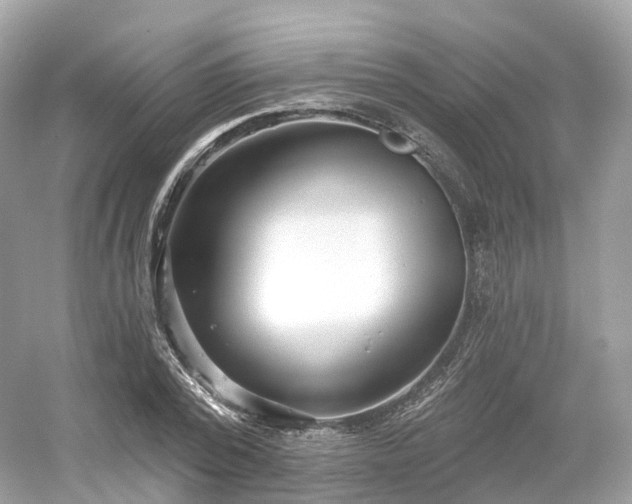 X0000054360784200508051528