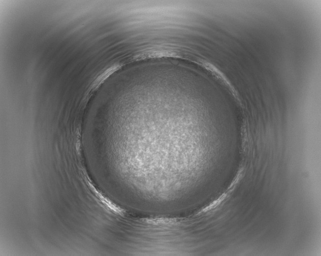 X0000054360785200508051528