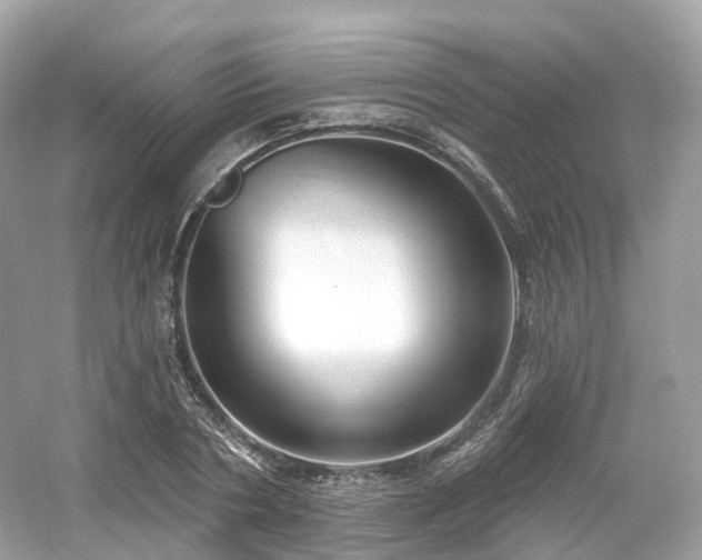 X0000054360786200508051528