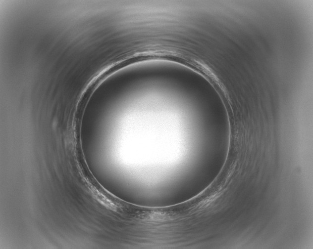 X0000054360787200508051528