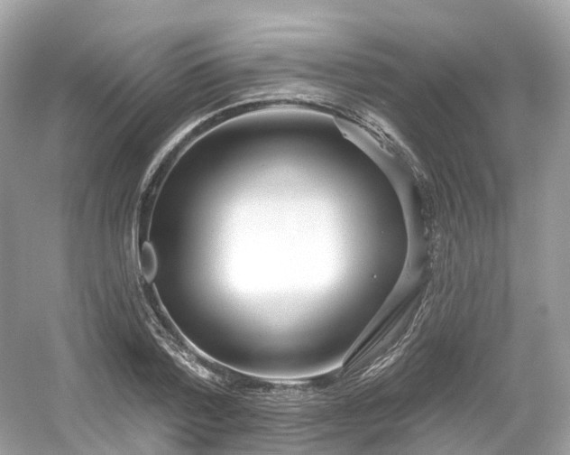 X0000054360788200508051528