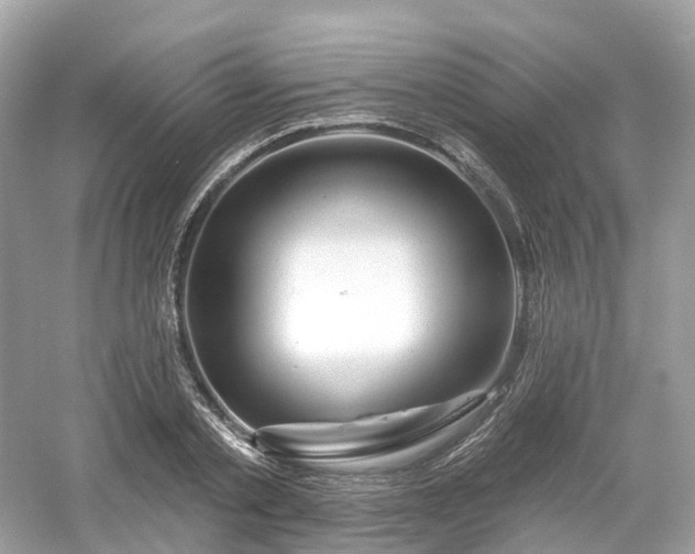 X0000054360789200508051528
