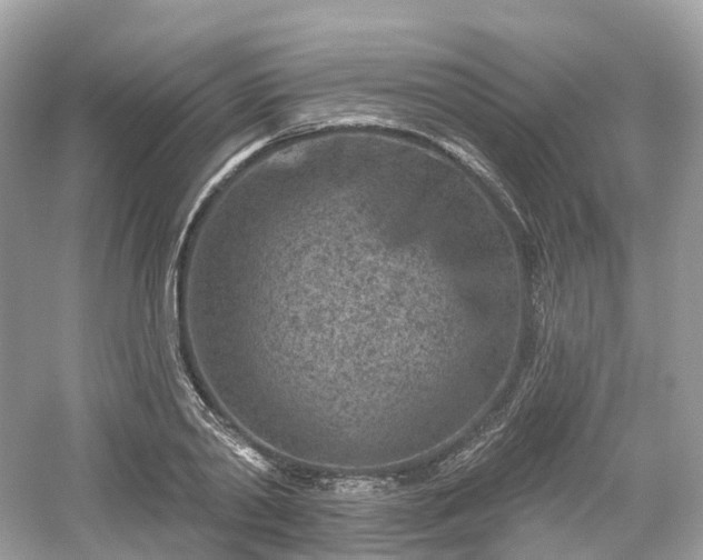 X0000054360790200508051528