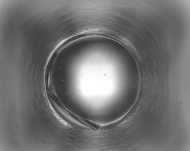 X0000054360792200508051528