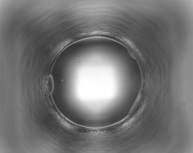 X0000054360793200508051528