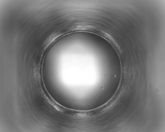 X0000054360794200508051528