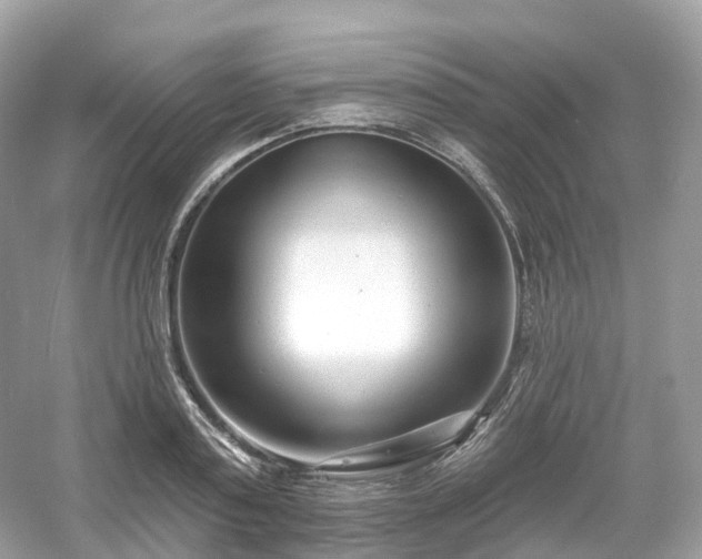 X0000054360795200508051528