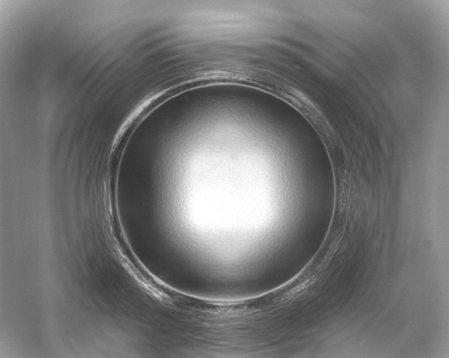 X0000054360796200508051528