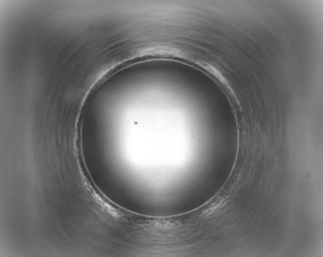 X0000054360799200508051528