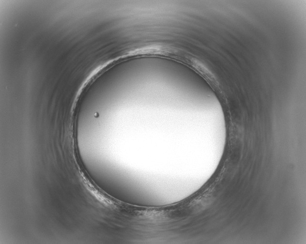 X0000054360800200508051528