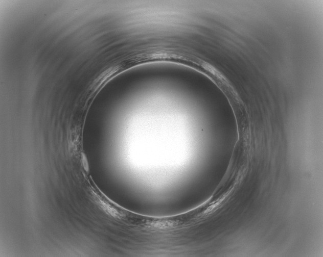 X0000054360801200508051528