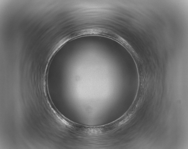 X0000054360802200508051527
