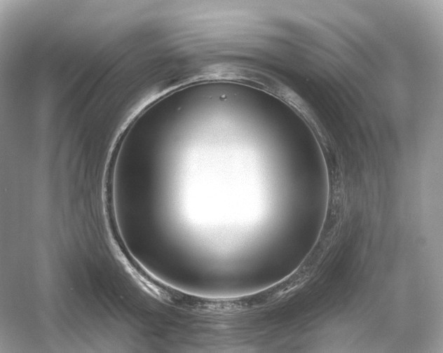 X0000054360803200508051527