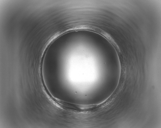 X0000054360805200508051527