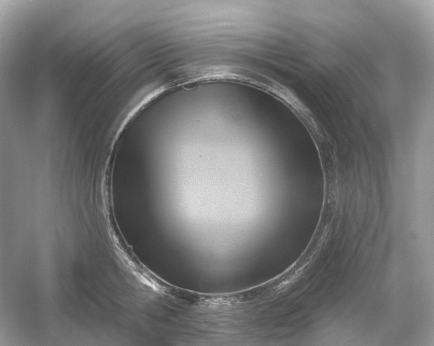 X0000054360806200508051527