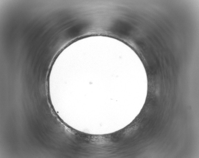 X0000054360807200508051527